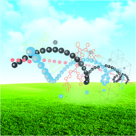 研發(fā)服務(wù)檢測項目